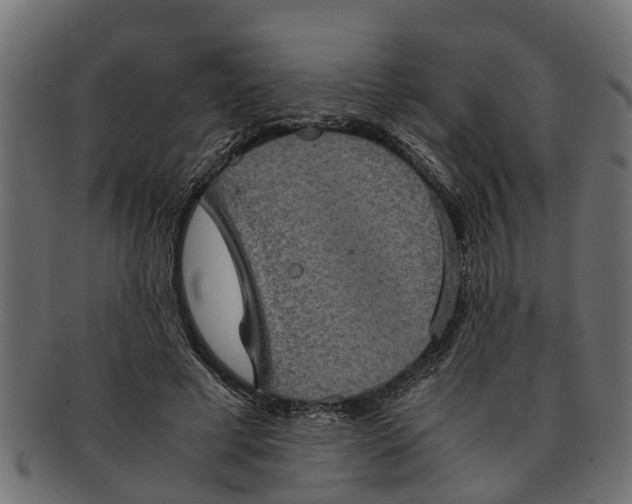 X0000091550593200709071218