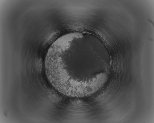 X0000091550594200709071218