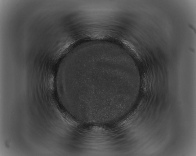 X0000091550596200709071218