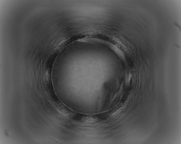 X0000091550597200709071218