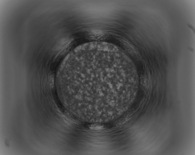 X0000091550602200709071218