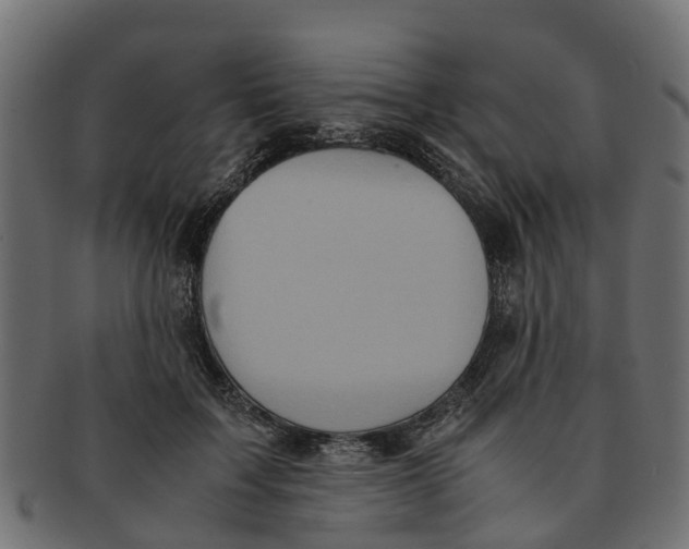 X0000091550603200709071218