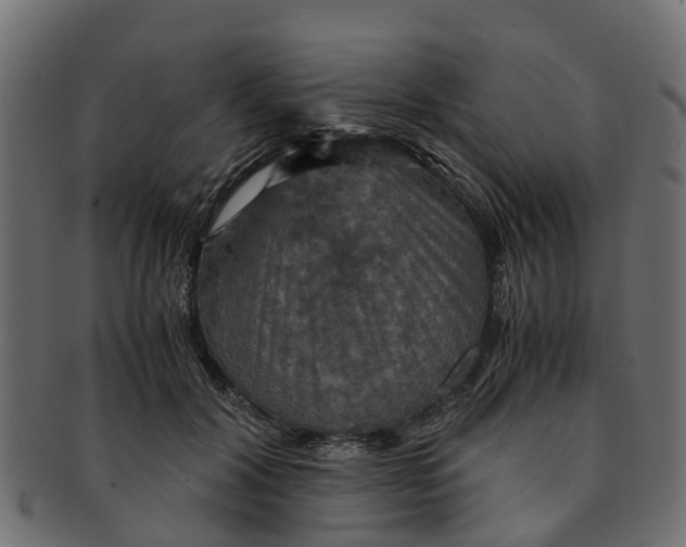 X0000091550604200709071218