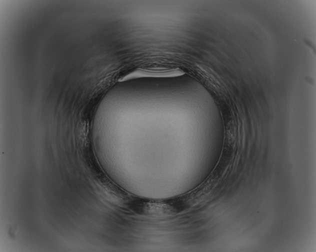 X0000091550605200709071218