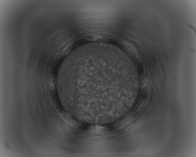 X0000091550607200709071218