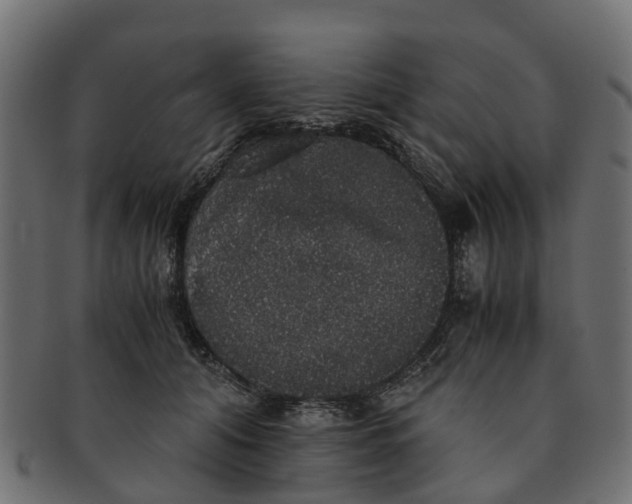 X0000091550608200709071218