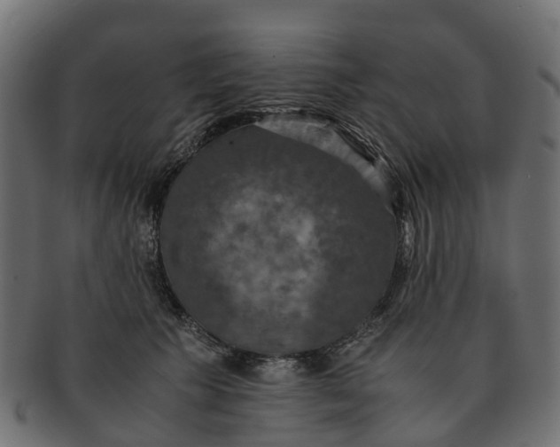 X0000091550609200709071218