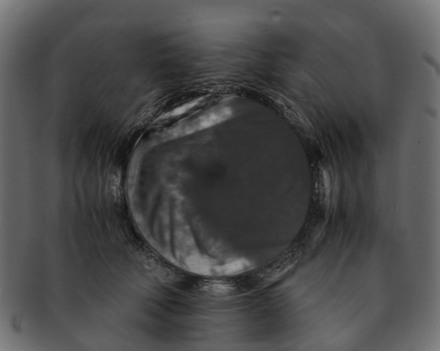 X0000091550610200709071218