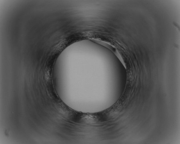 X0000091550611200709071218