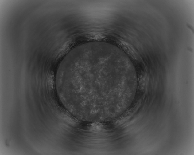 X0000091550612200709071218