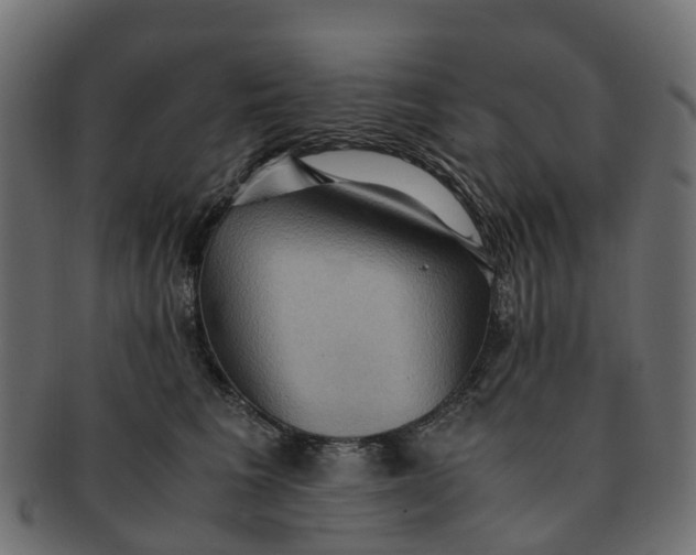 X0000091550613200709071218