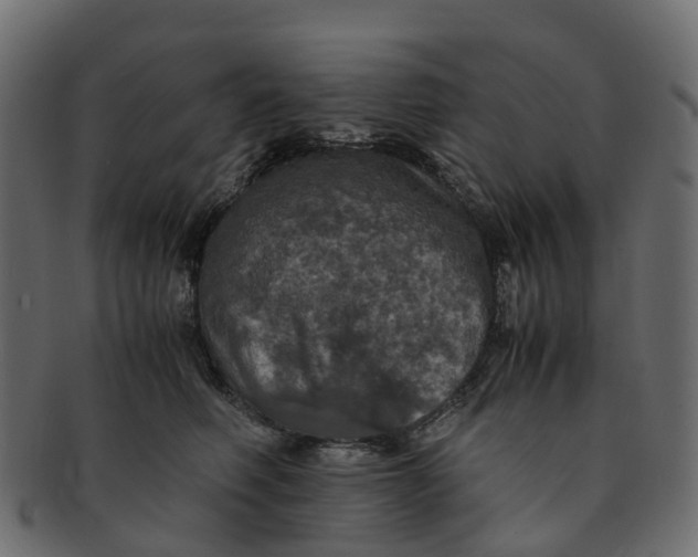 X0000091550614200709071218