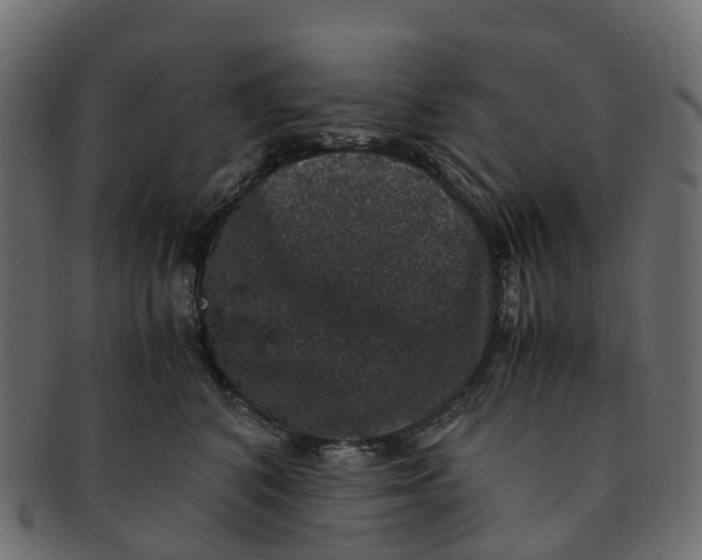 X0000091550616200709071218