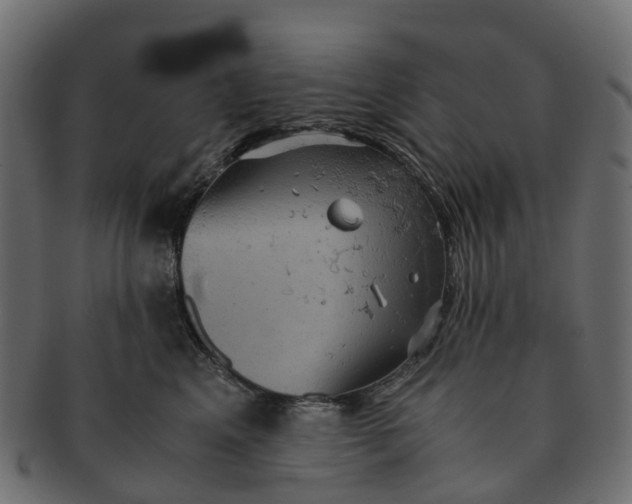 X0000091550617200709071218