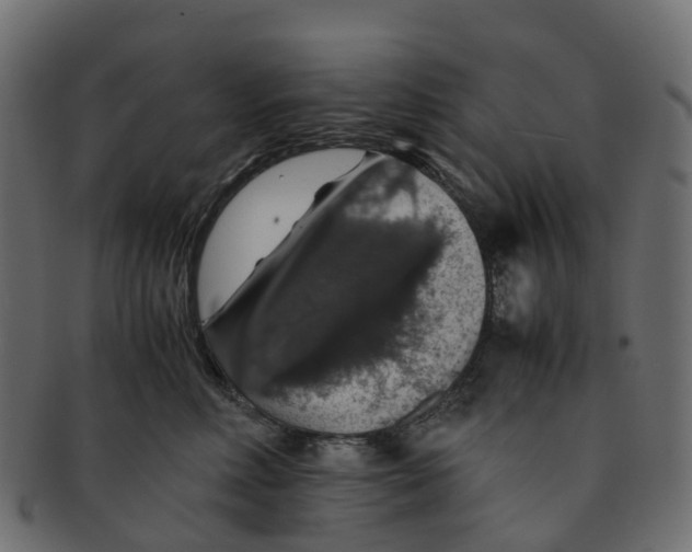X0000091550618200709071218