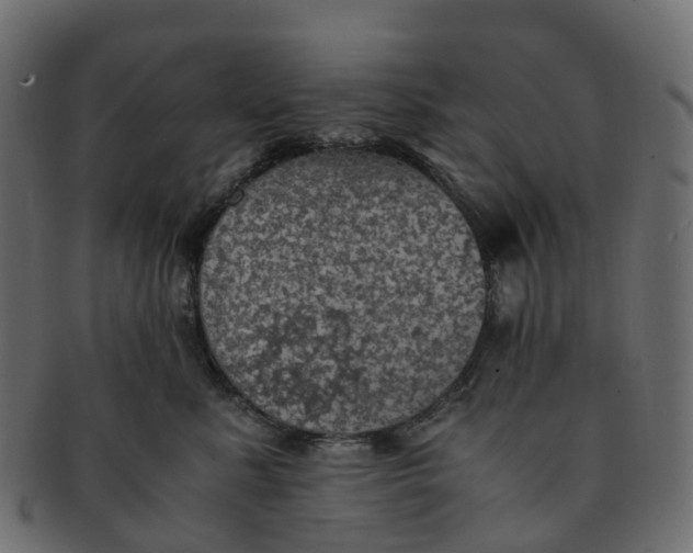 X0000091550619200709071218