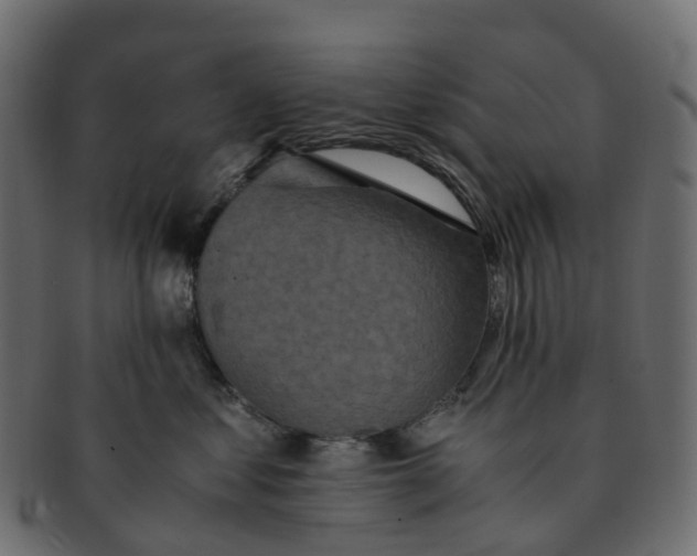 X0000091550621200709071218