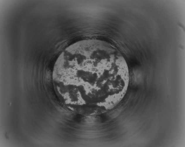 X0000091550623200709071218