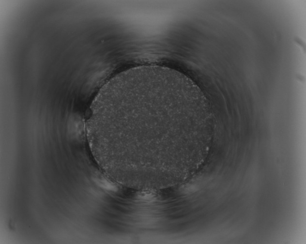 X0000091550624200709071218
