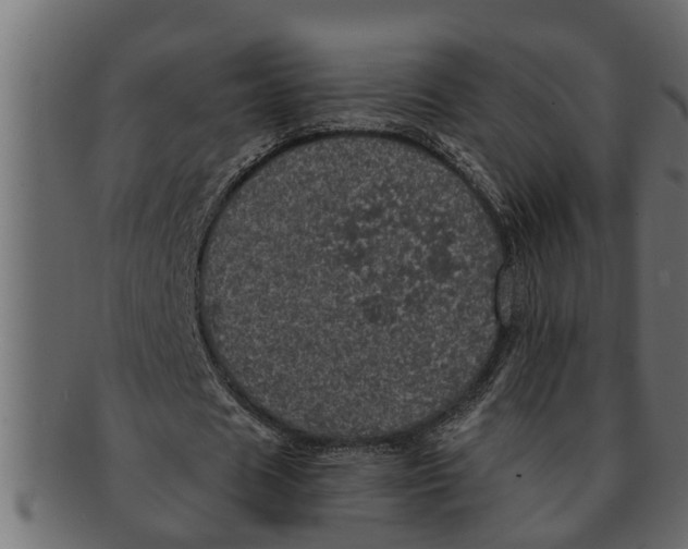 X0000091550625200709071217
