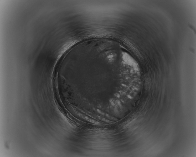 X0000091550626200709071217