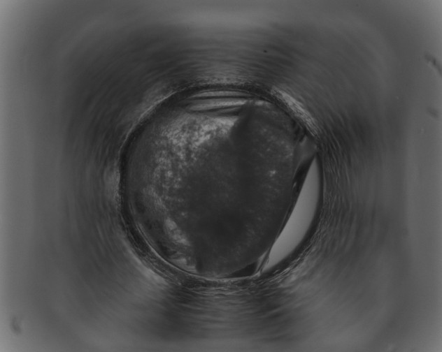 X0000091550627200709071217