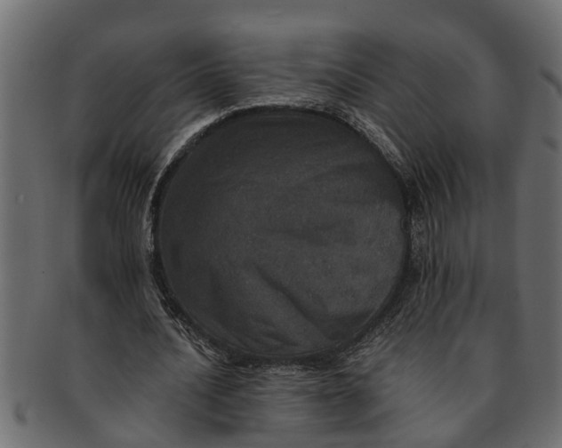 X0000091550628200709071217