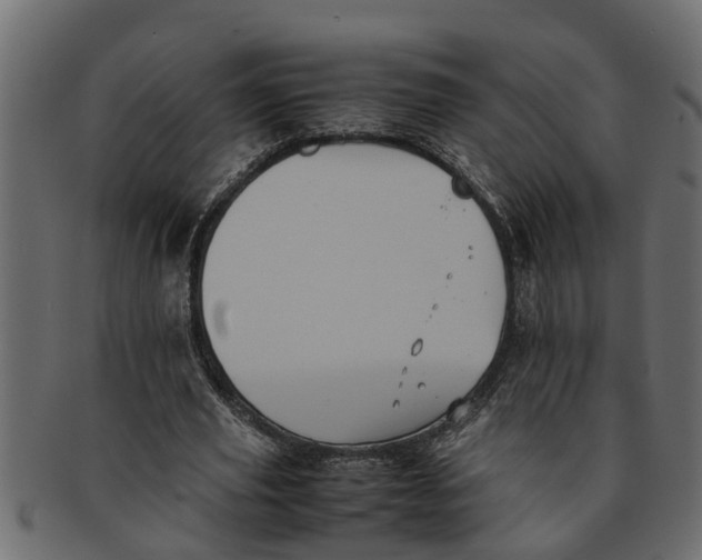 X0000091550629200709071217