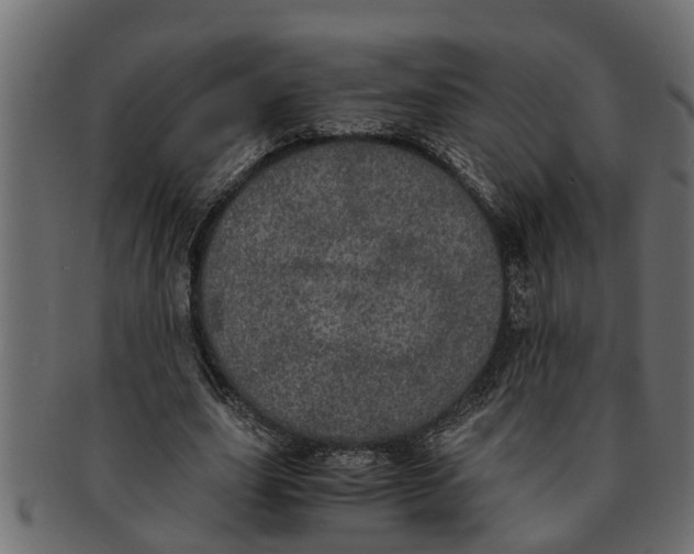 X0000091550631200709071217