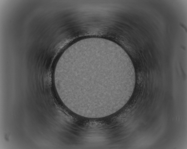 X0000091550632200709071217
