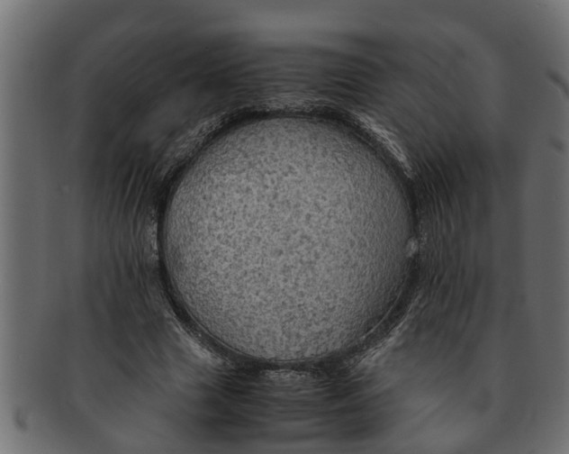 X0000091550633200709071217