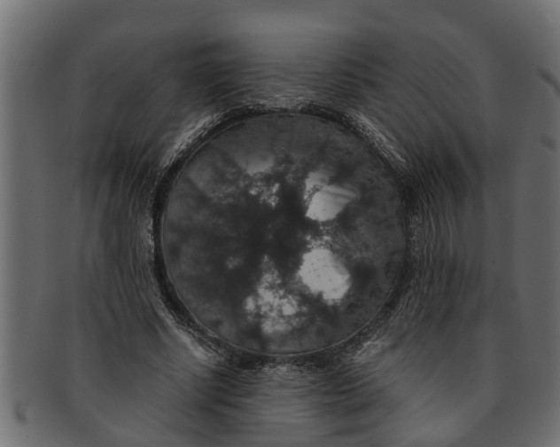 X0000091550634200709071217