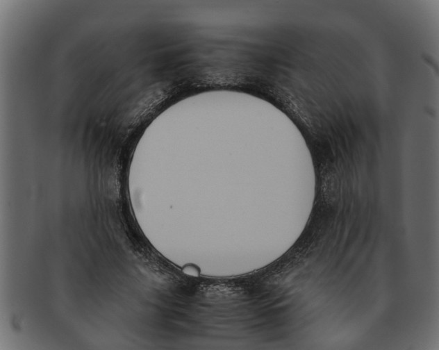 X0000091550635200709071217