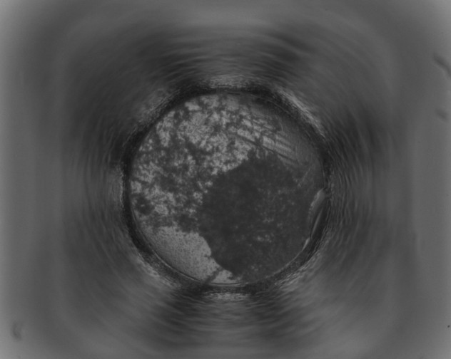X0000091550637200709071217