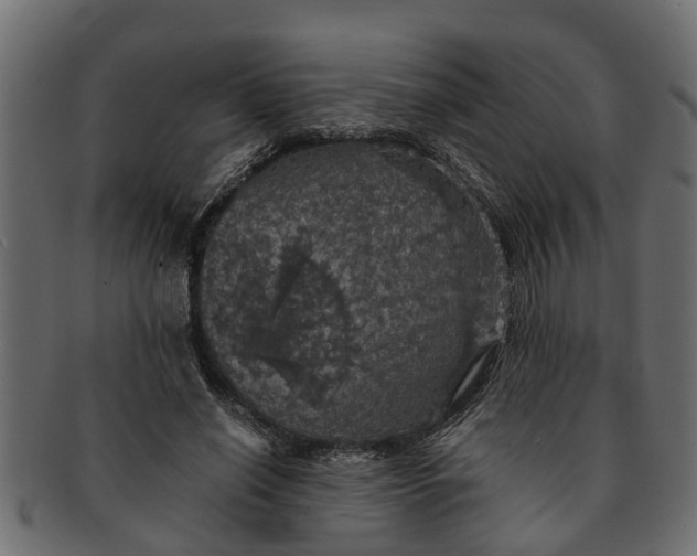 X0000091550638200709071217