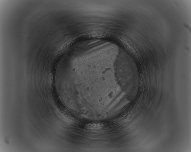 X0000091550639200709071217