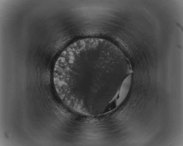 X0000091550640200709071217