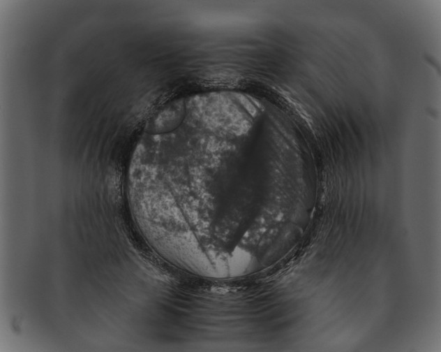 X0000091550641200709071217