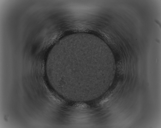 X0000091550642200709071217