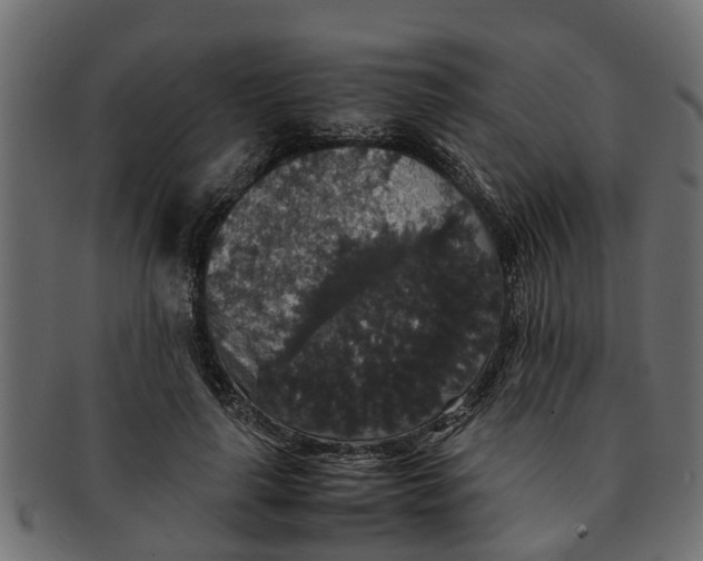 X0000091550643200709071217
