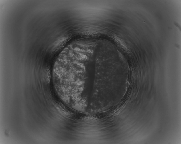 X0000091550644200709071217