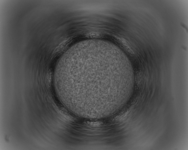 X0000091550645200709071217