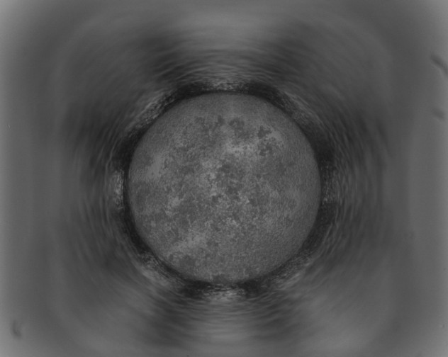 X0000091550646200709071217