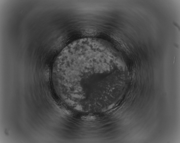 X0000091550647200709071217