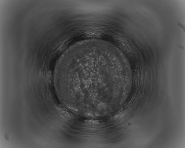 X0000091550649200709071217