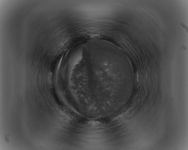 X0000091550650200709071217