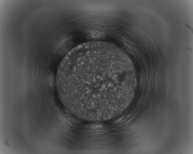 X0000091550651200709071218