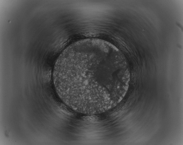 X0000091550652200709071218