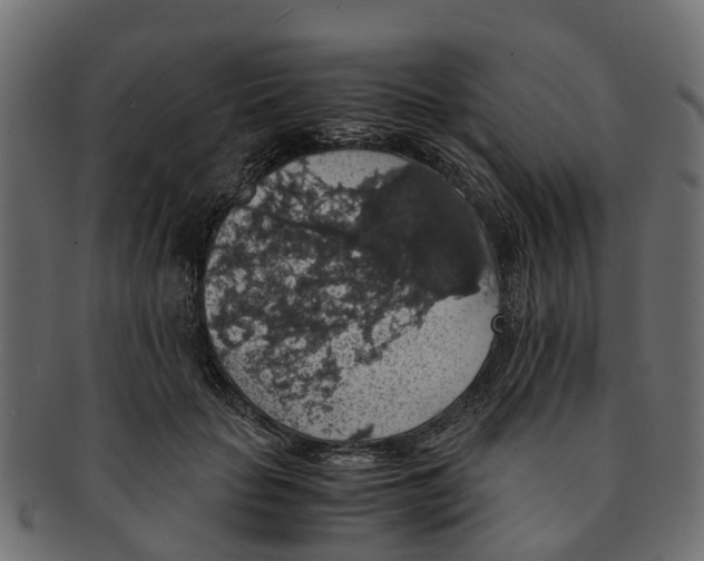 X0000091550653200709071218