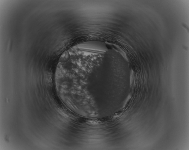 X0000091550654200709071218